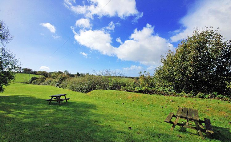 Barn Owl Cottage  Looe